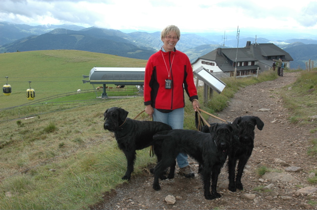 AnneBellchen